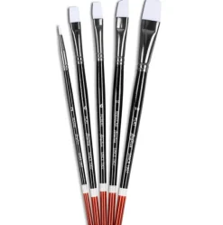 Set di Cinque Pennelli per Tingere le Scarpe - Angelus Paint Brushes